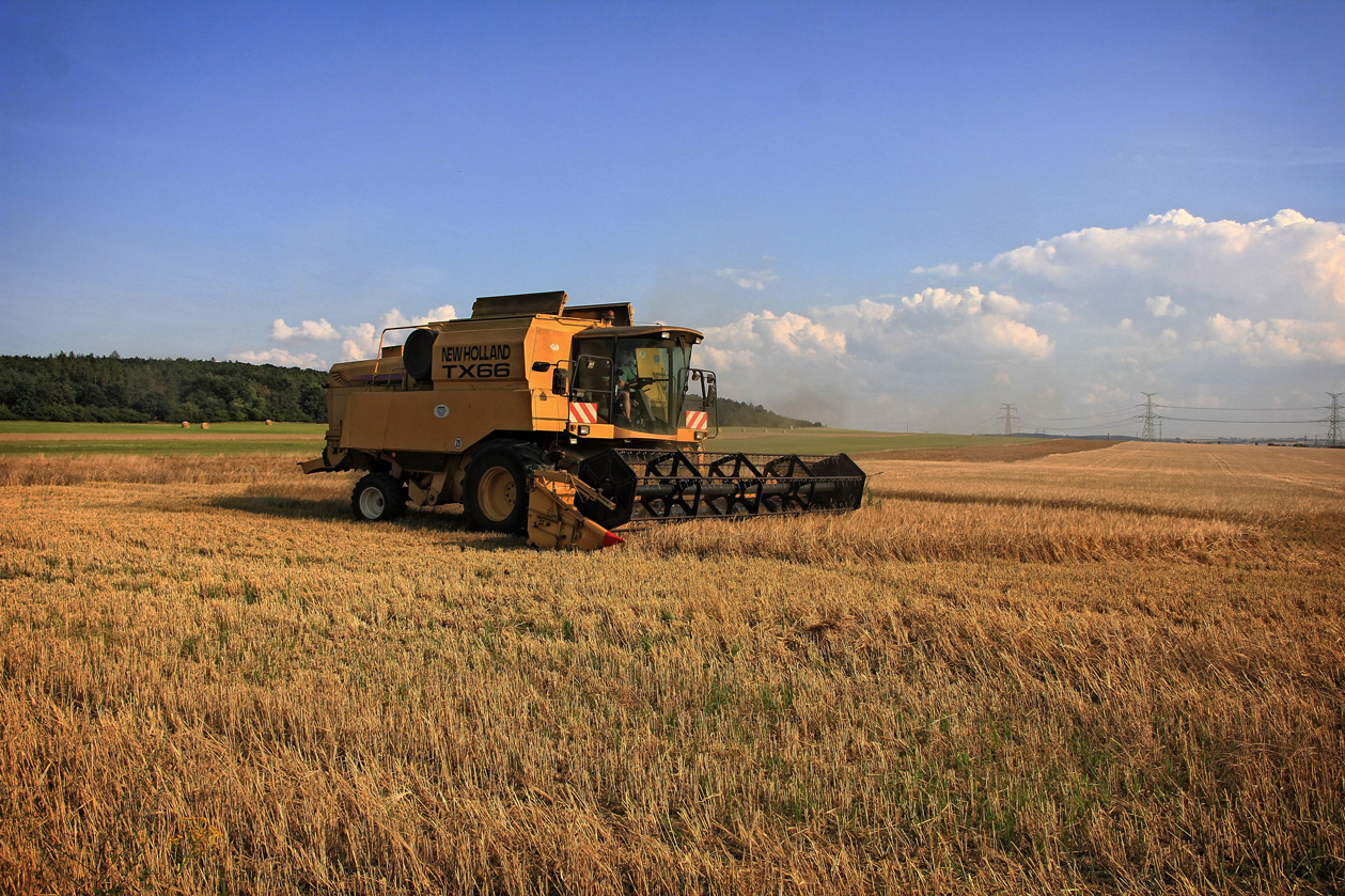 harvest-1640194